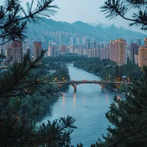 怎么查账看企业资产